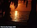 Guy Fanguy - Artist - Photographer - Guy Fanguy - Campgrounds - Louisiana -  Lake End Park in Morgan City (108).jpg Size: 40619 - 14